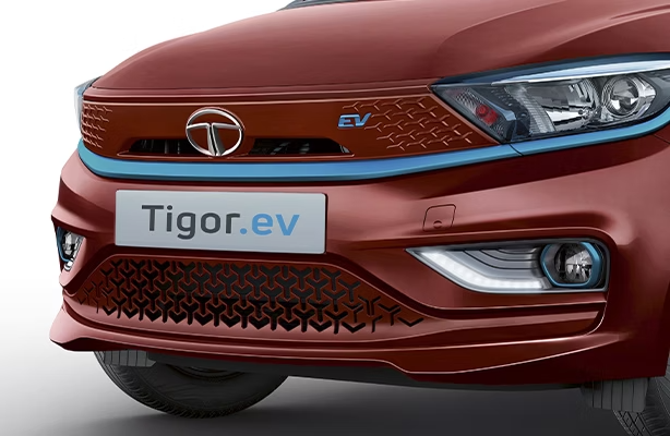 Bold EV front grille