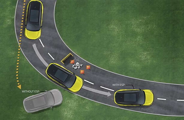 Electronic Parking Brake (EPB)