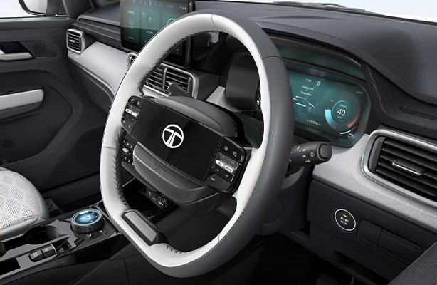 Steering Wheel Controls